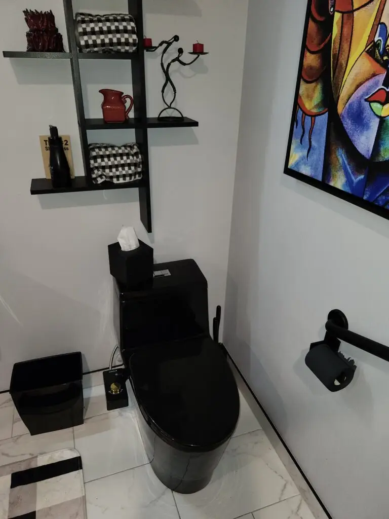 Photograph of a black toilet installation and grab bar completed by Adaptive Remodeling Solutions.