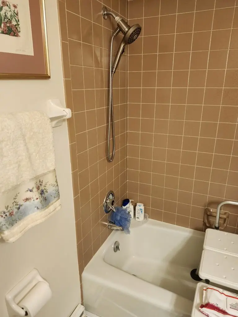 Photograph of a detachable shower head.